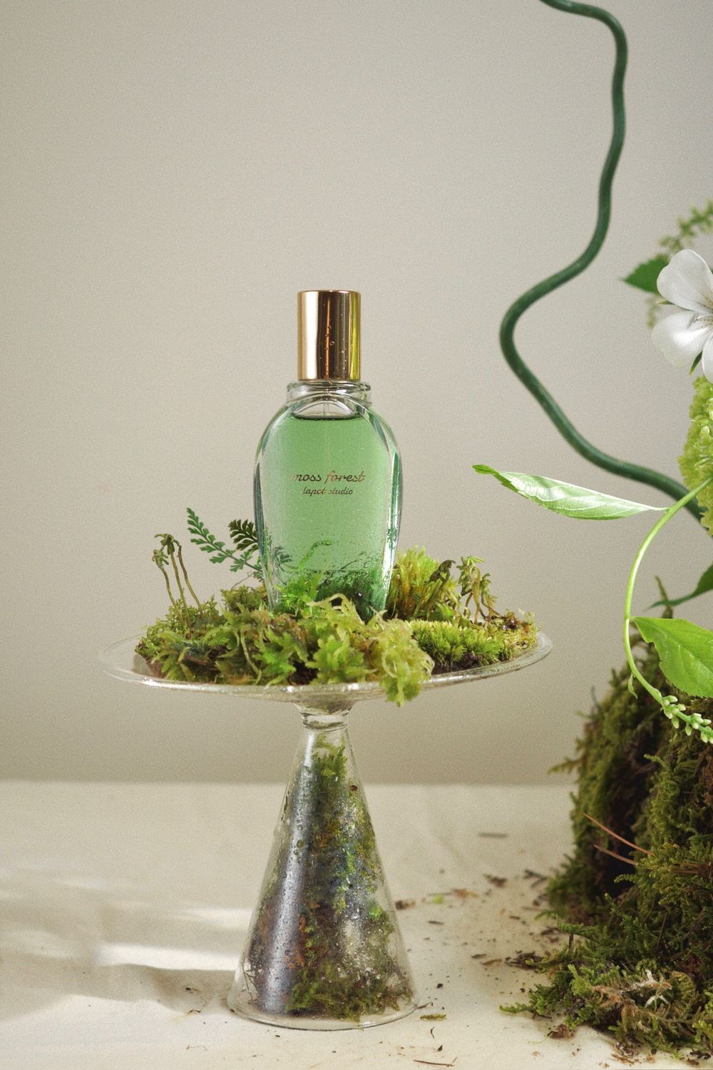 Moss Forest 35ml Extrait de Parfum