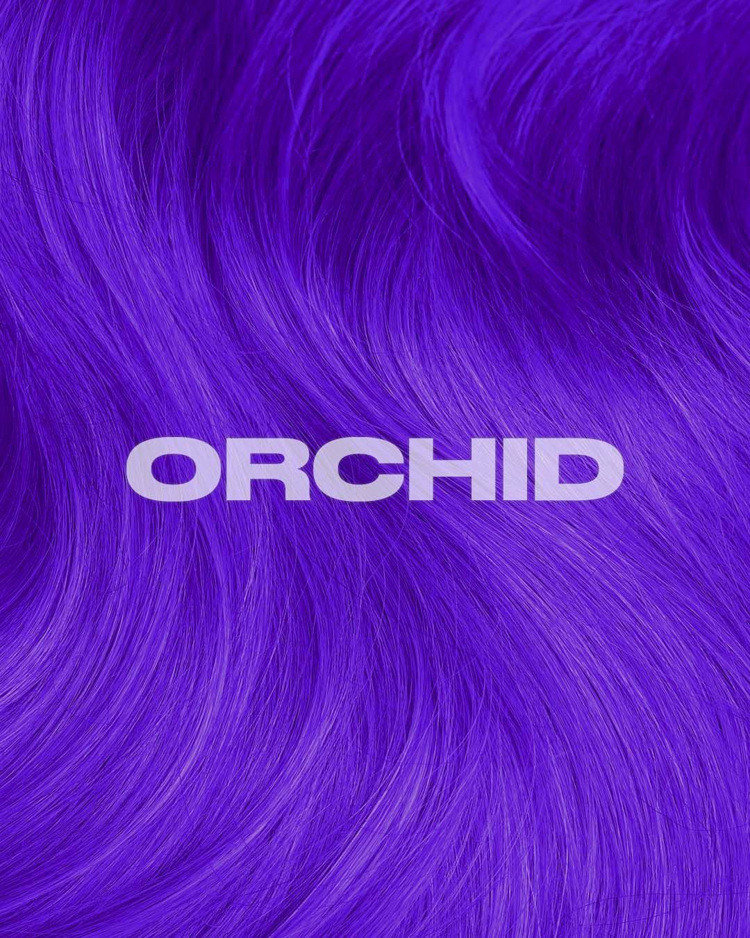 Orchid Purple 4oz