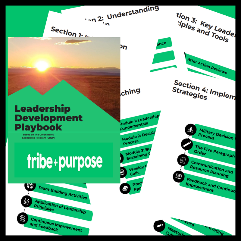 Leadership Development Playbook