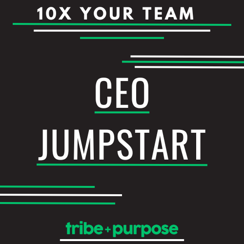 CEO Jumpstart (Monthly)