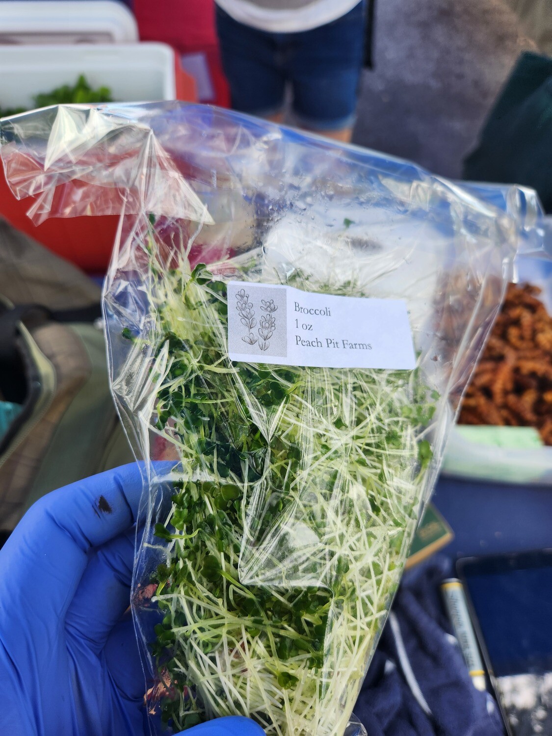 Microgreens - Broccoli