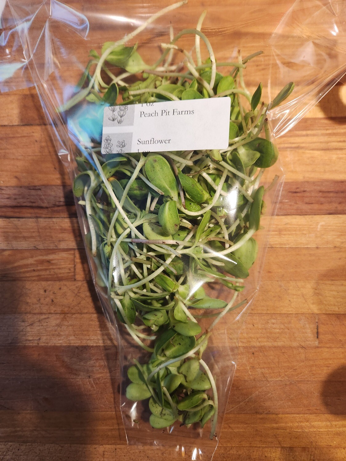 Microgreen - Sunflower