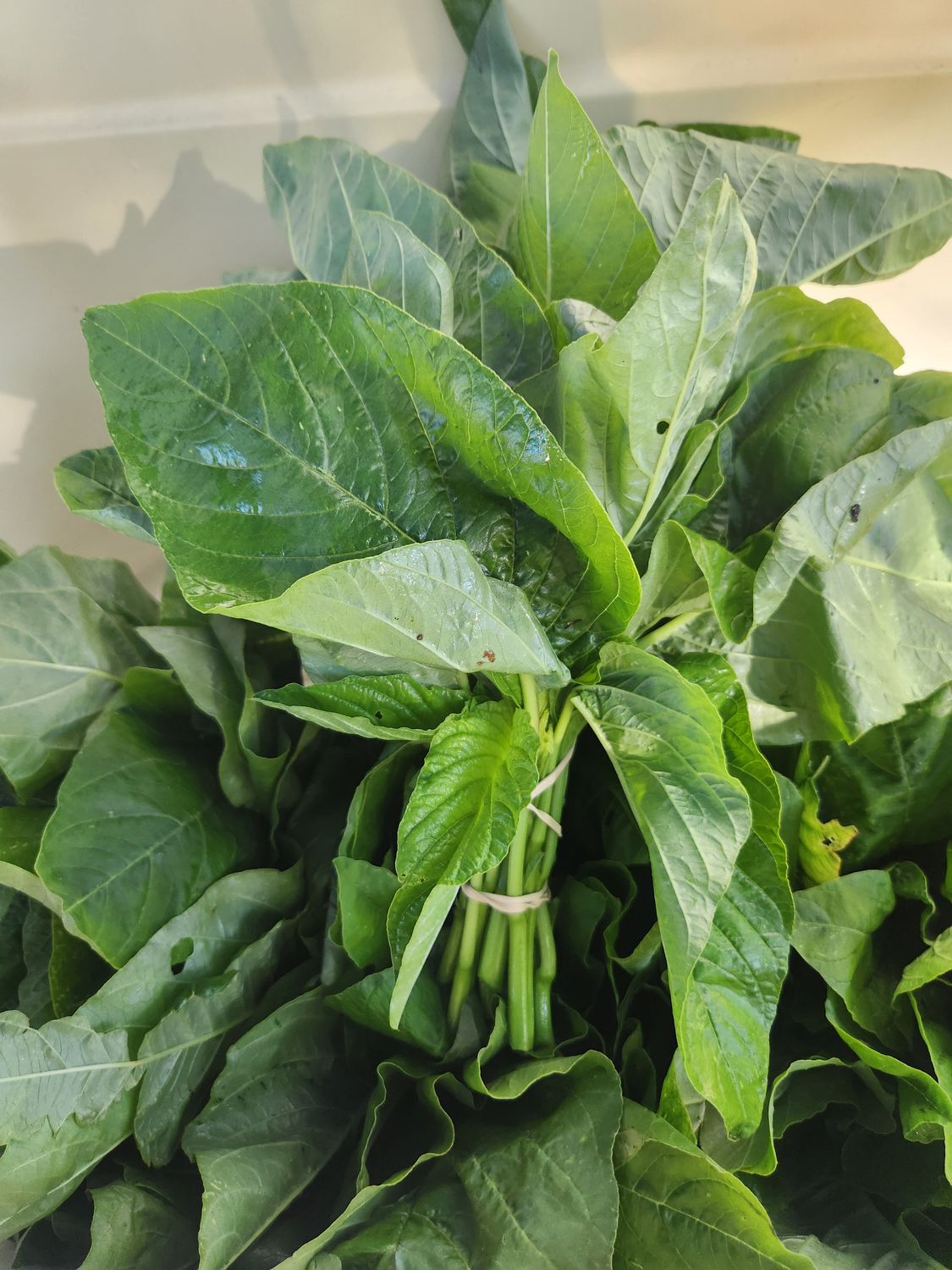 Callaloo