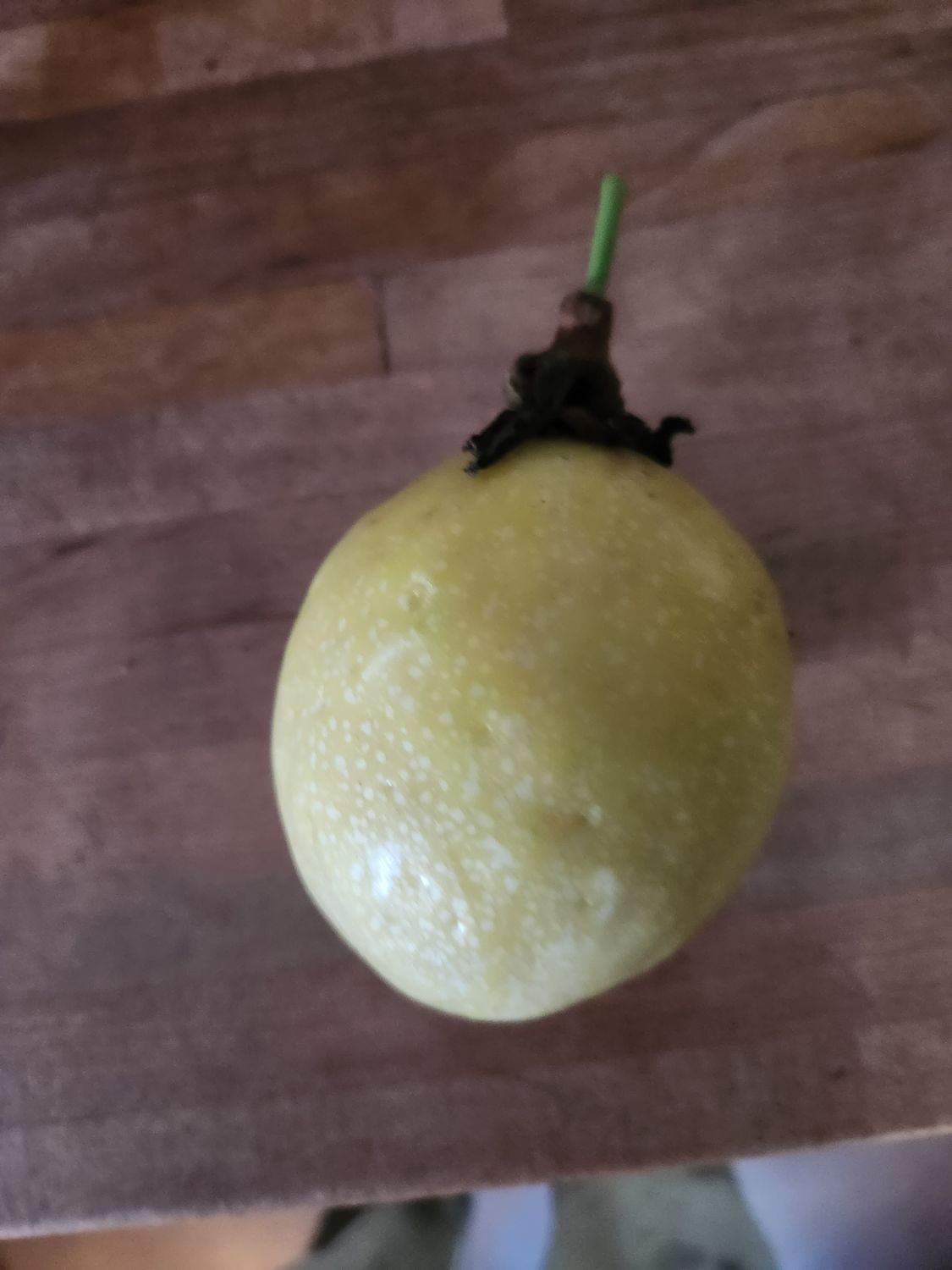 Passion Fruit