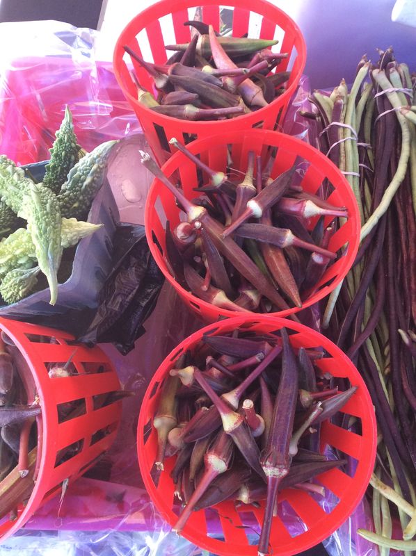 Burgundy Red Okra
