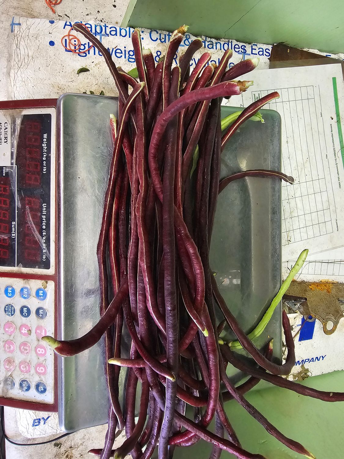 Long Beans