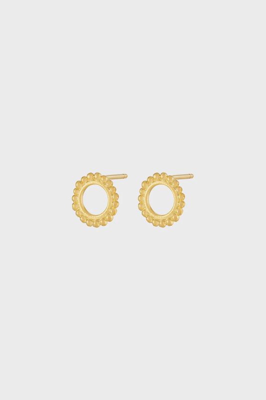 Meadow Studs - 2538
