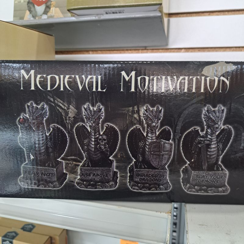 Dragons medieval motivation 4pc set