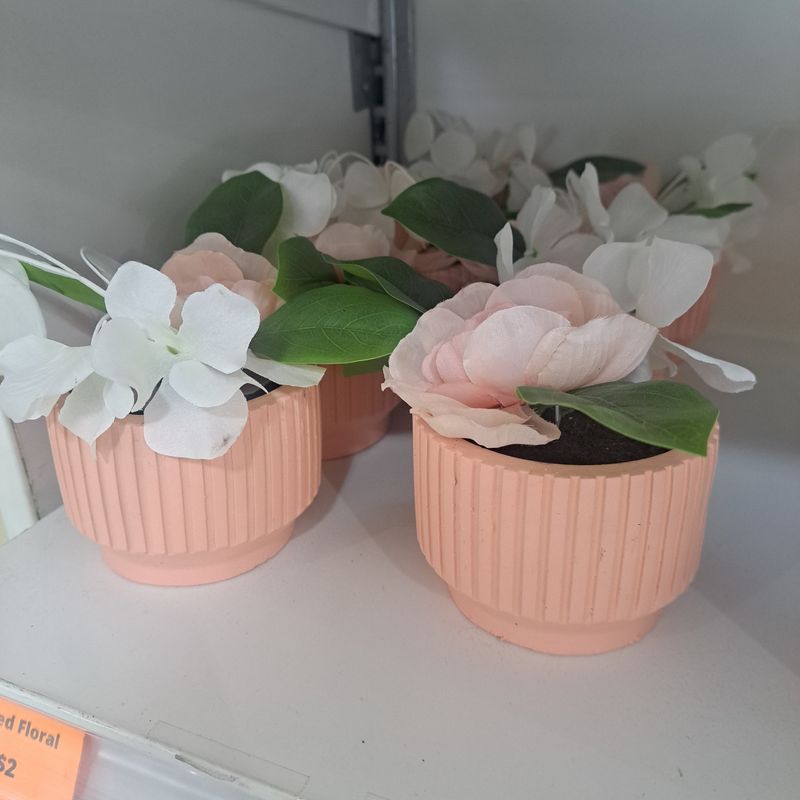 Potted floral