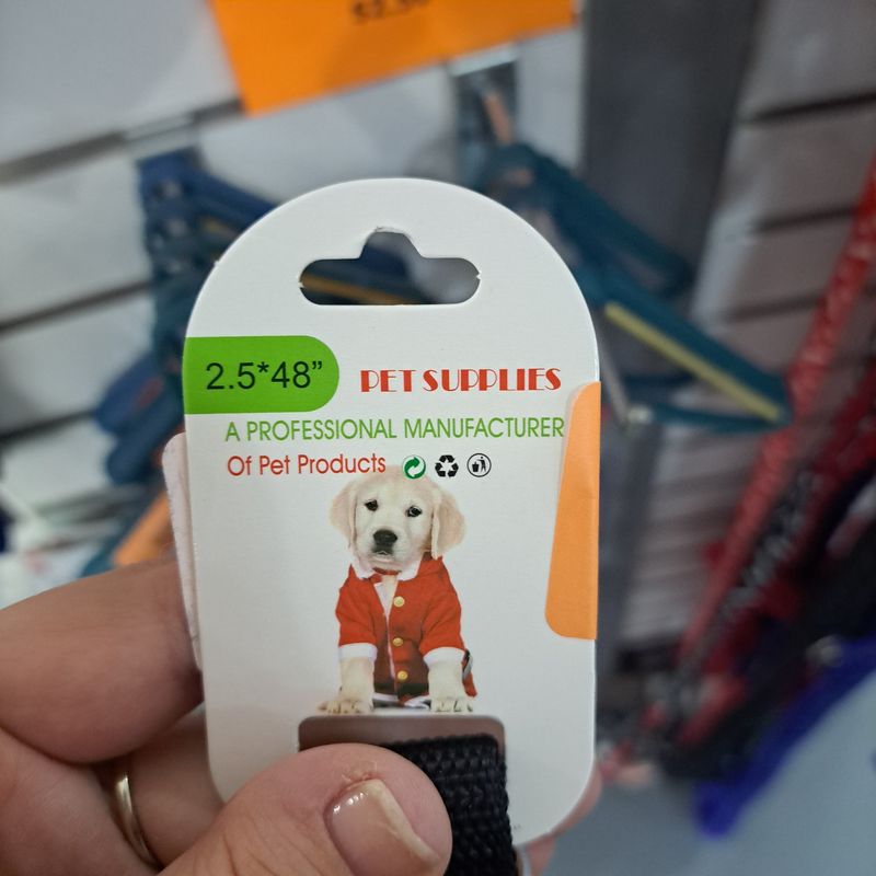 dog leash w collar 2.5*48"