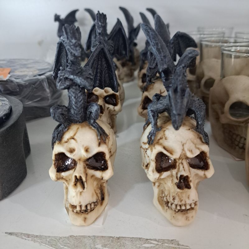Dragon &amp; Skull