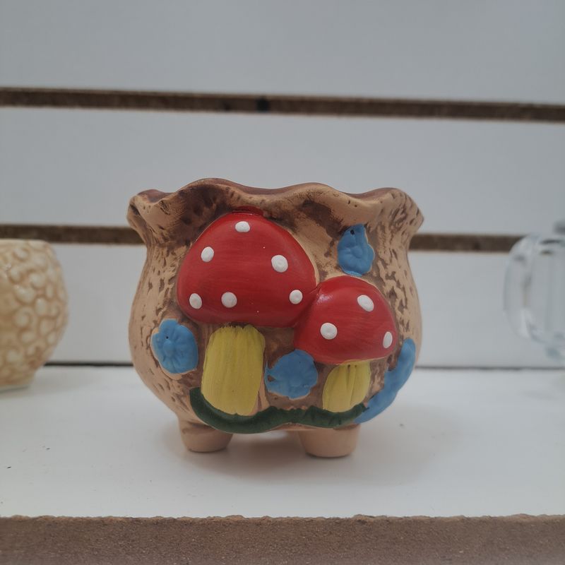 Mushroom planter