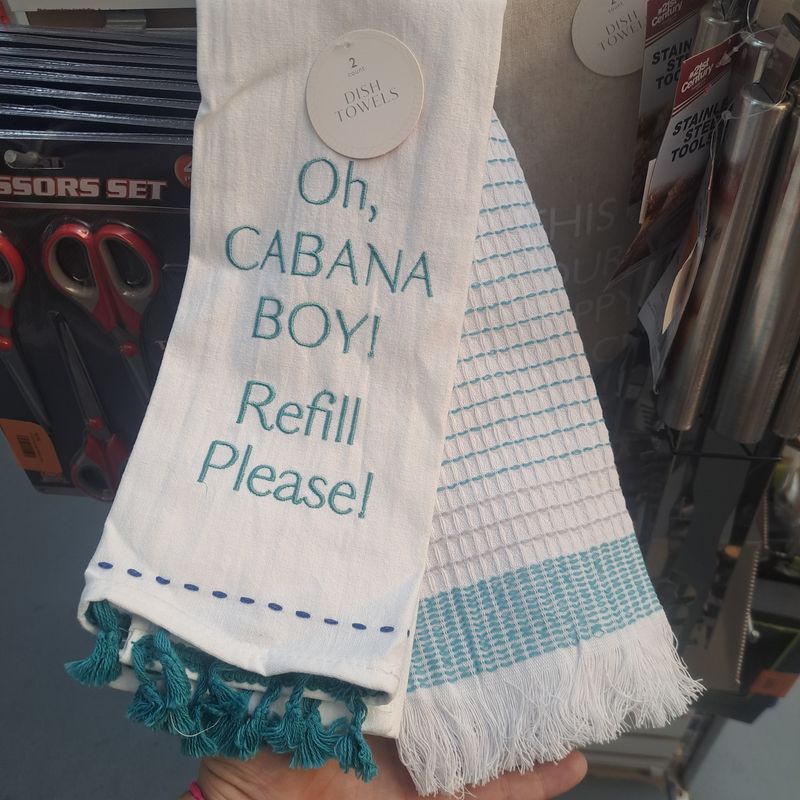 2 pack Kitchen dish towel