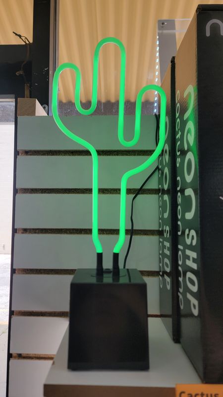 LED 17" Neon Cactus Lamp