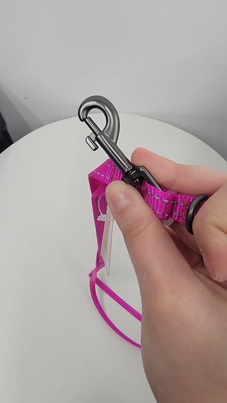Boots &amp; Barkley reflective dog leash