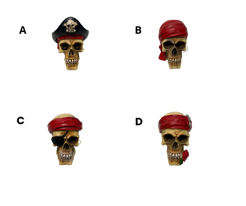 Pirate skull
