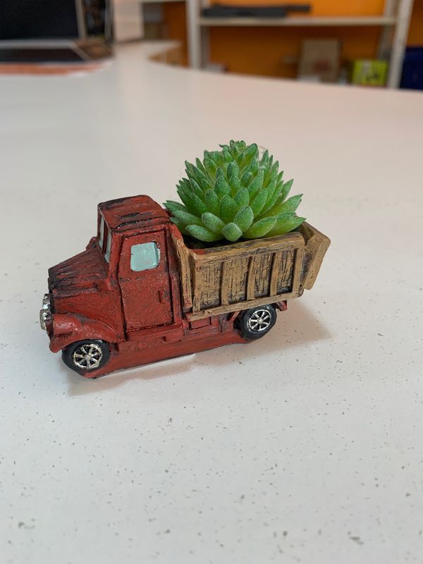 Red &amp; Green Plant Dump Truck faux plants