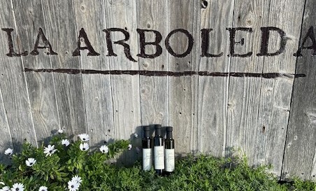 Case- Branch Mark- Extra Virgin Olive Oil  12-250 ml bottles