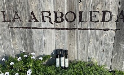 Case- Branch Mark- Extra Virgin Olive Oil  12-250 ml bottles