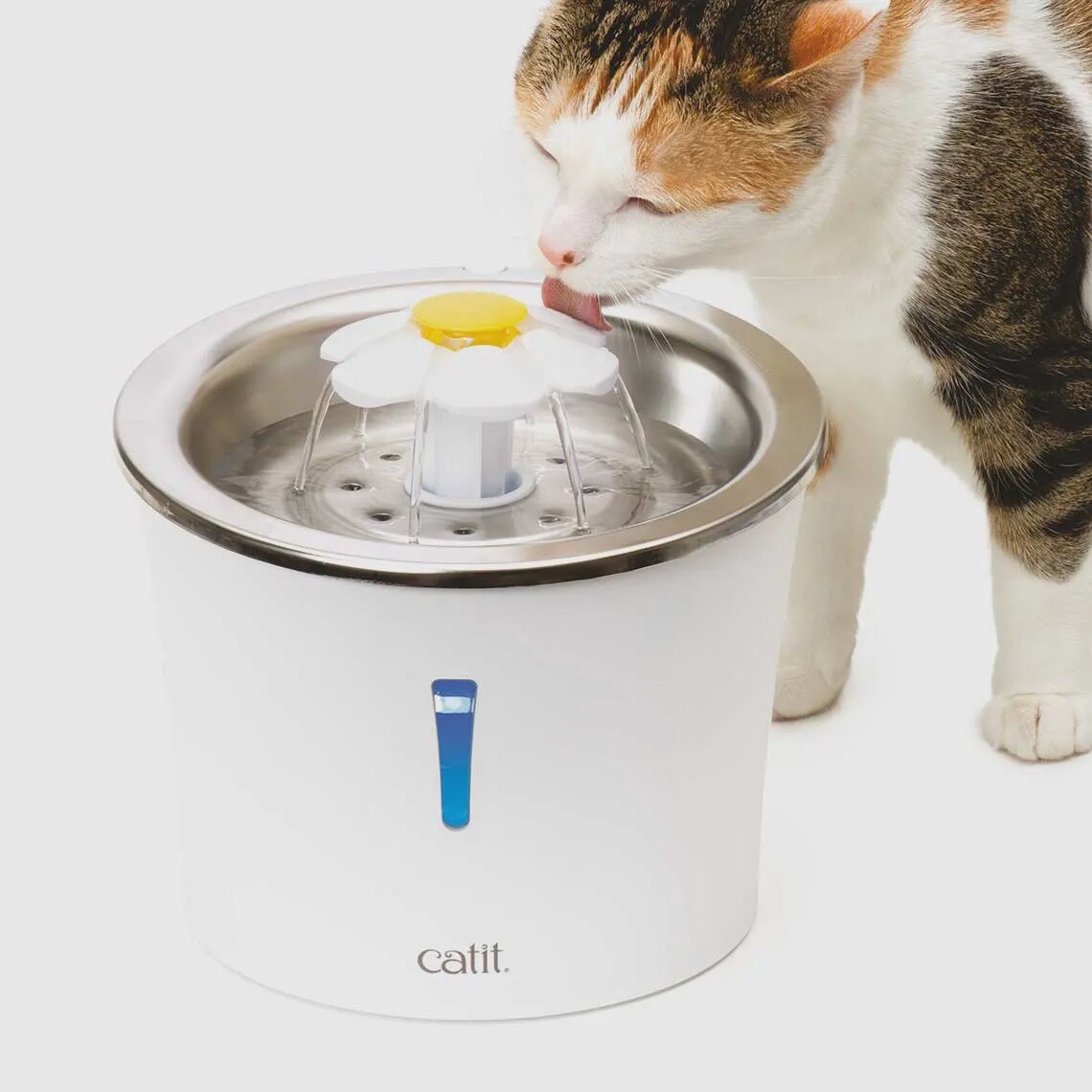 Catit Fontaine Fleur Dessus en acier inoxydable
