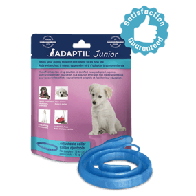Adaptil Junior Collier pour chiens
