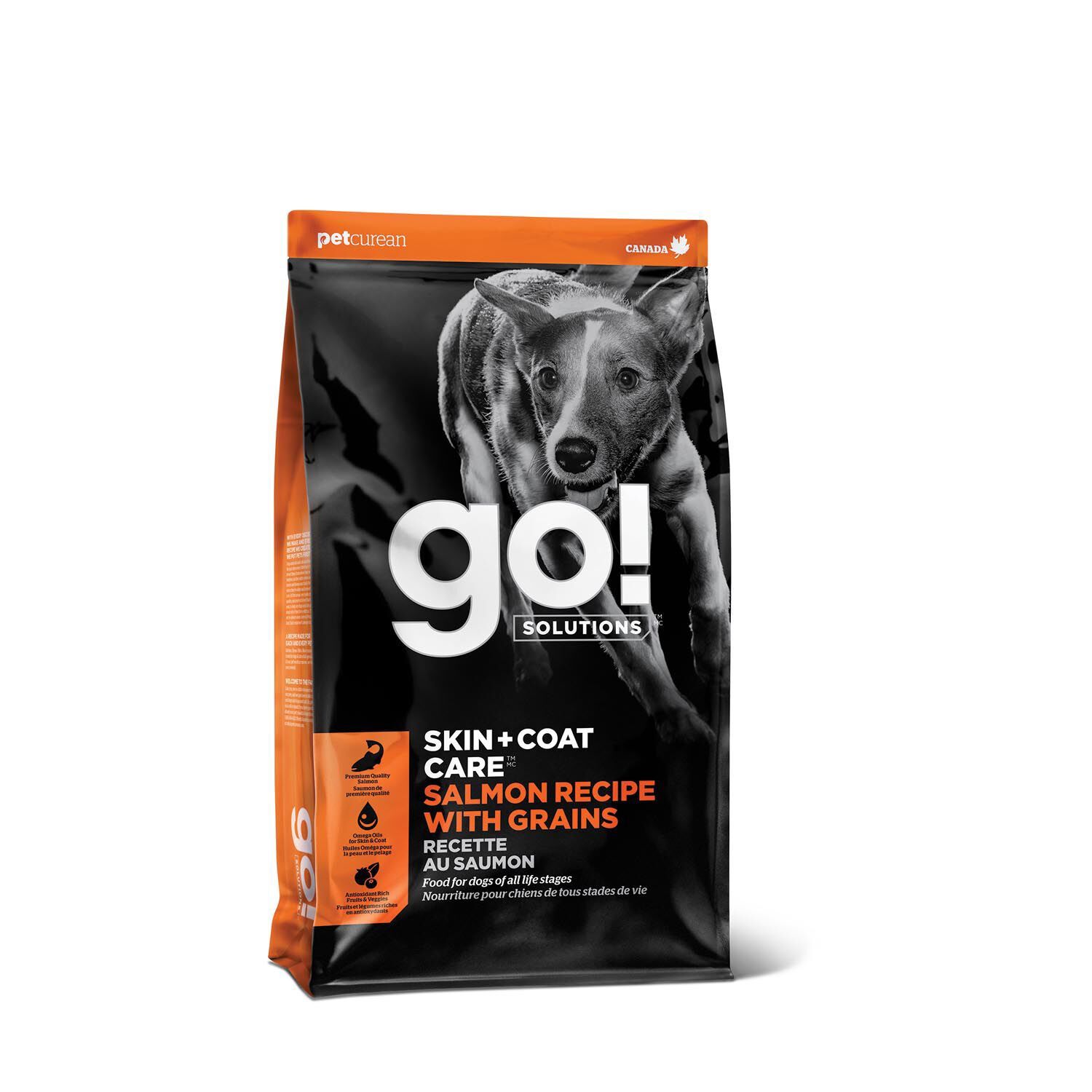 Go! Solutions - Recette « Skin + Coat Care » au saumon avec grains pour chiens, Taille: 1.59kg