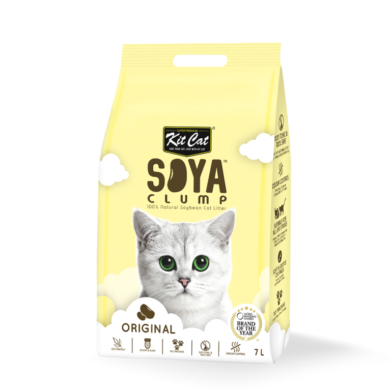 Kitkat Soya Clump Litière de chats, Format: Original