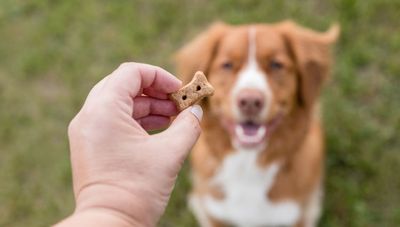 Treats