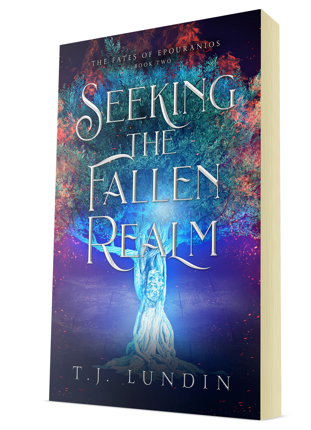 Seeking the Fallen Realm (#2) Paperback