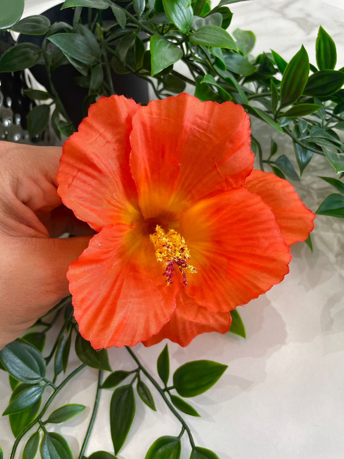 Amapola