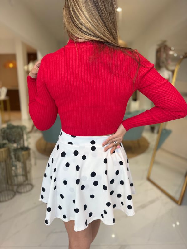 Red Turtle Neck Sweater