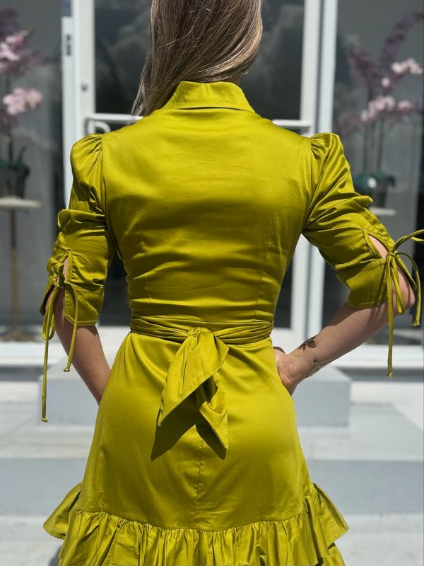 Pistacho Elegant Exclusive Dress