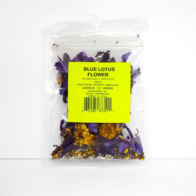 Blue Lotus Flower