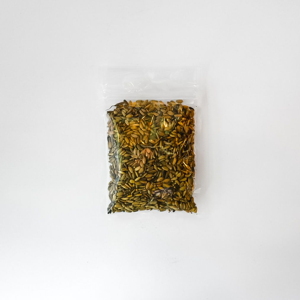 MILK THISTLE SEED