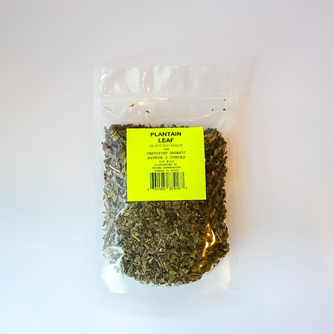 PLANTAIN LEAF