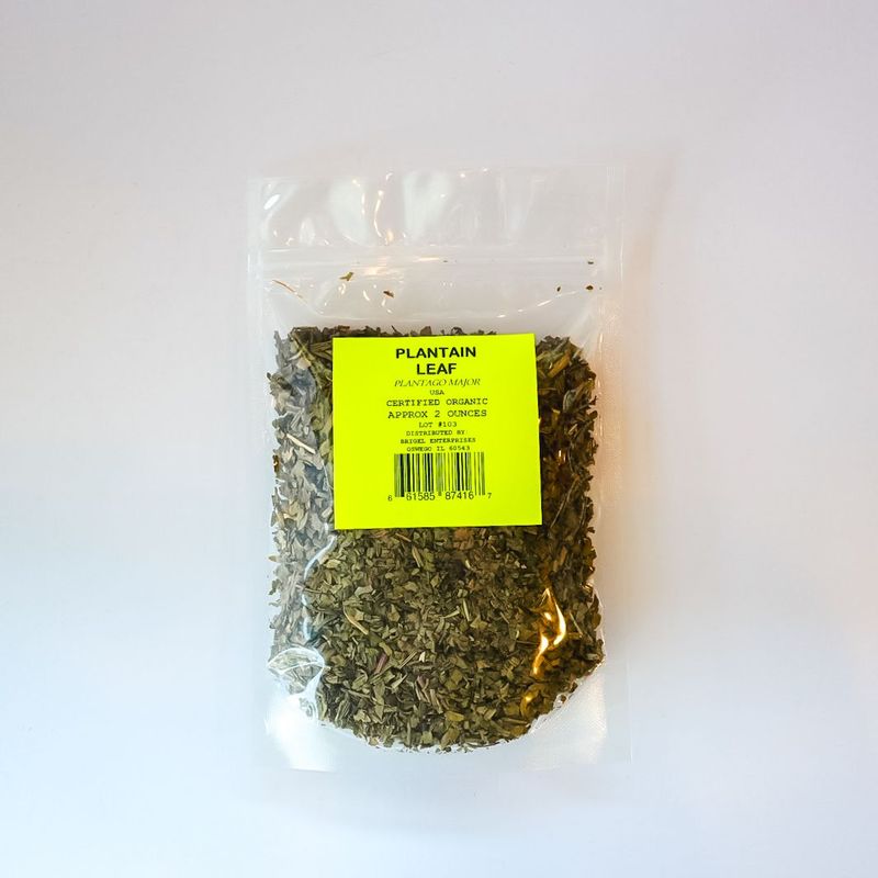 PLANTAIN LEAF