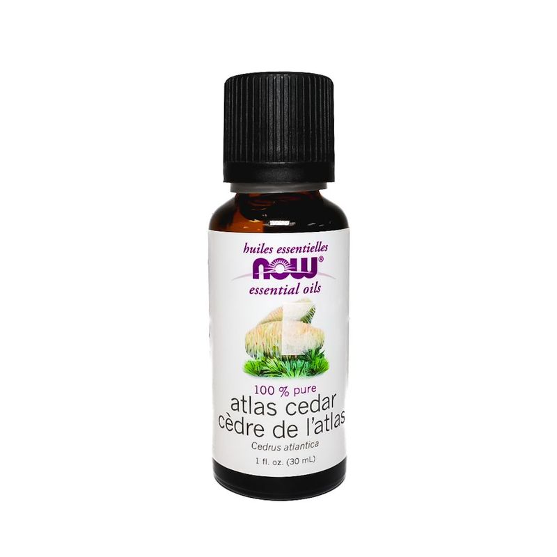 Atlas cedar cèdre de l'atlas