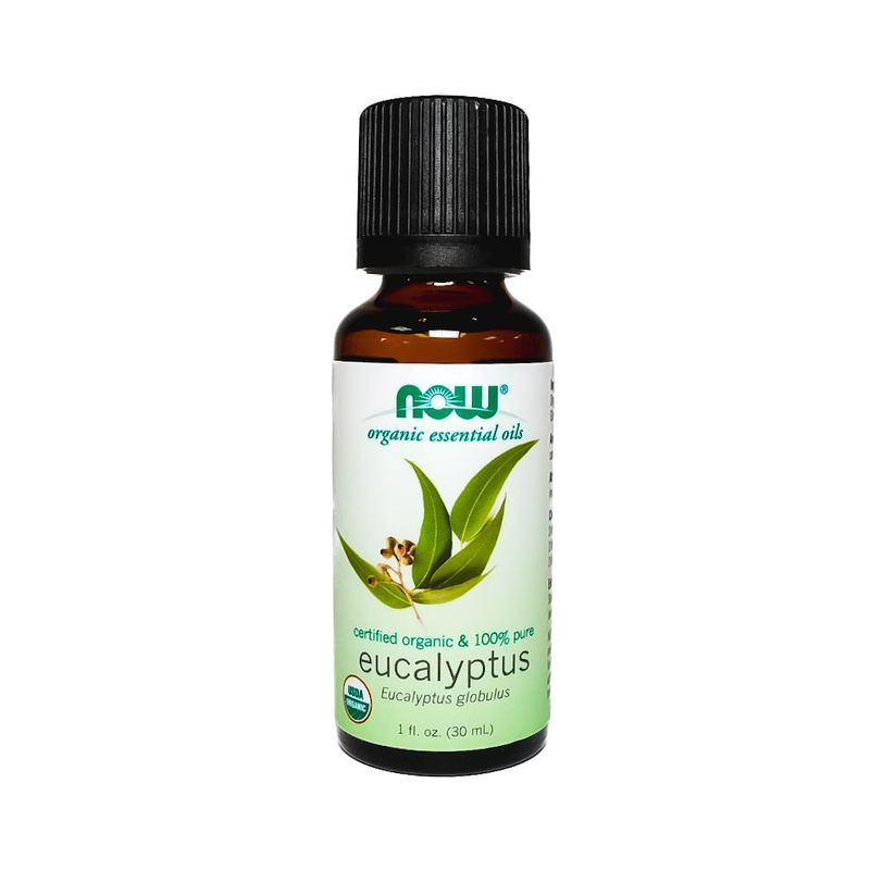 Eucalyptus