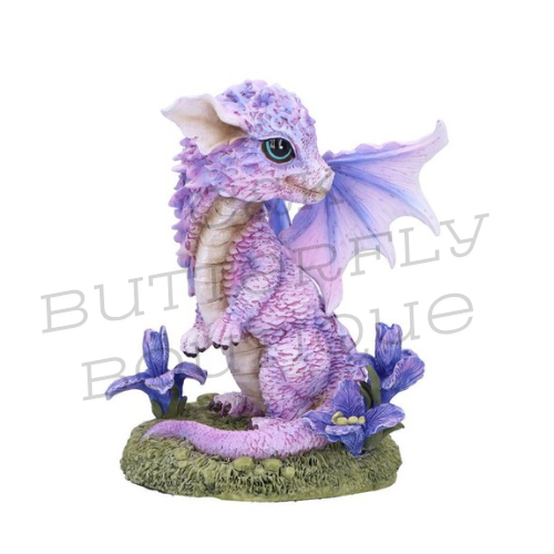 Iris Flower Dragon