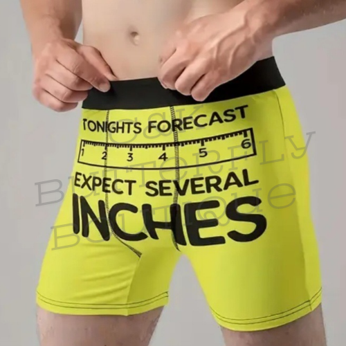 Mens humorous briefs