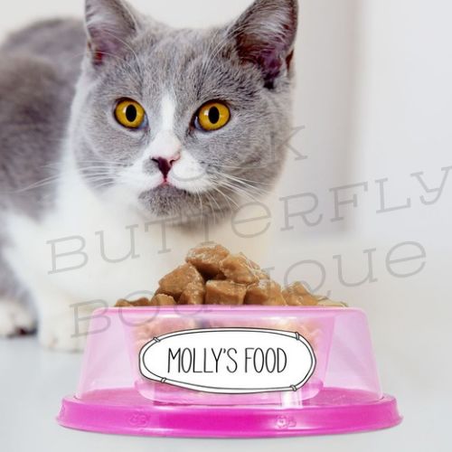 Personalised Large Non-Slip Pink Pet Bowl