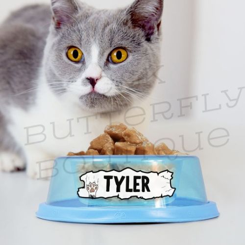 Personalised Large Non-Slip Blue Cat Bowl