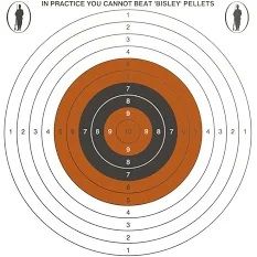 25 MEDIUM CARD PAPER 17CM TARGETS BY BISLEY