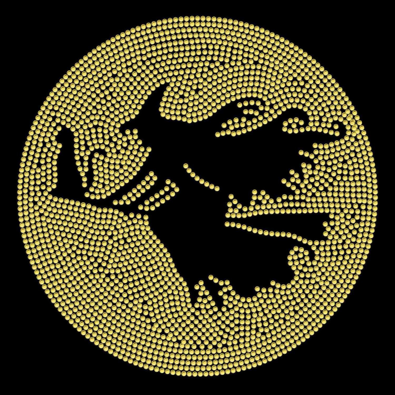 Witch Over Moon