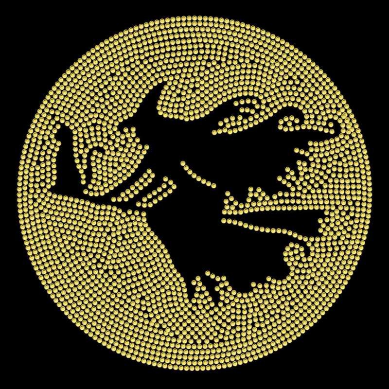 Witch Over Moon