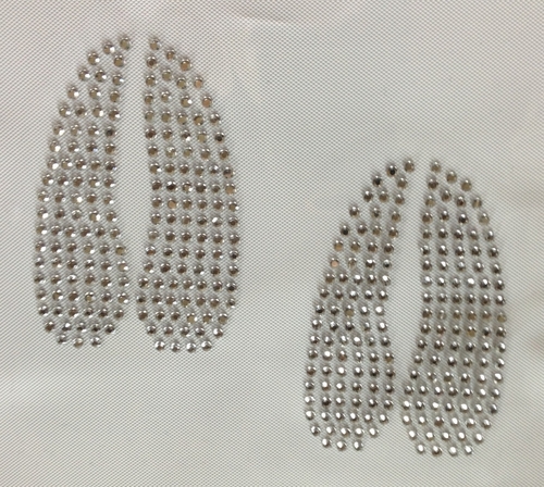 Deer Track Pair