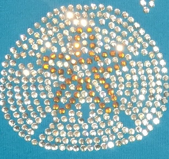 Sand Dollar Small