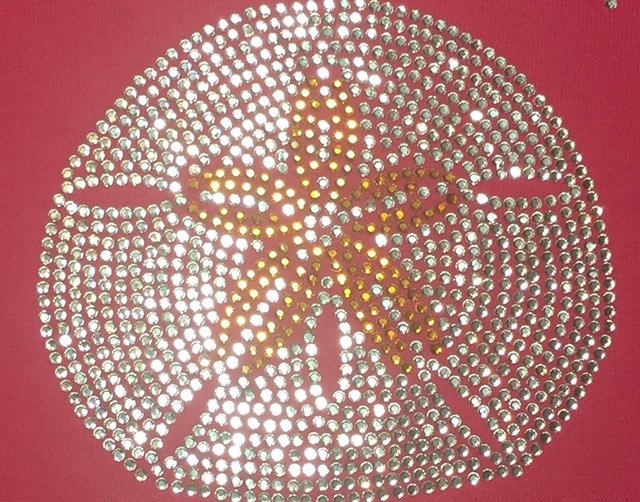 Sand Dollar Large