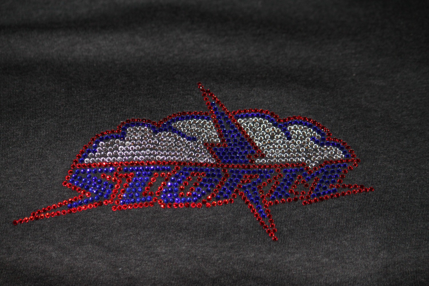 Storm Logo w/Filled Cloud