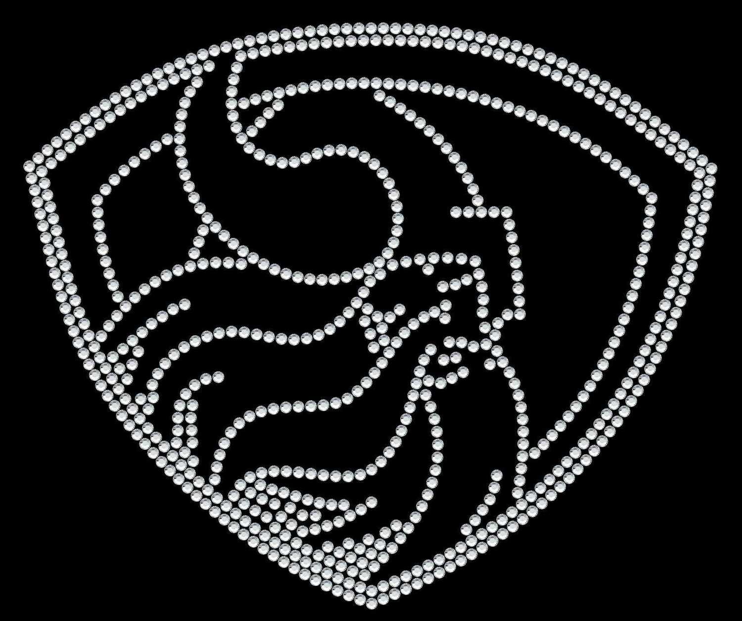 Vikings Shield 1C